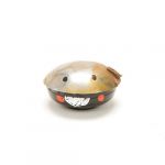 かーいがら うつみしょうへい<br>
<br>
砂浜の中で暮らしている。満潮になると砂から出てくる。<br>
水につかるとサビてしまうから。